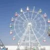30M-Flower-Basket-Ferris-Wheel-for-Sale Продается 30-метровое колесо обозрения в виде цветочной корзины.
