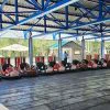 Cow-Bumper-Cars-for-Sale Niedliche Kuh-Stoßfänger Autos zu verkaufen
