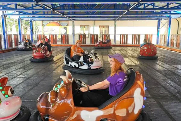 Cute-Cow-Bumper-Cars-for-Sale Cute Cow Bumper Cars for Sale