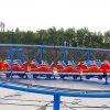 Dragon Roller Coaster for Sale Dragon Roller Coaster for Sale