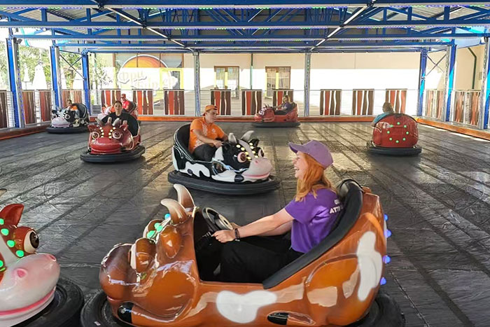 ground network bumper cars manufacturer